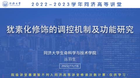 2022年秋 